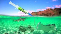 CR22 NO CLEAN-Lotpaste in 10 g (5 ml) Spritze Lebensdauer...