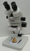 Stereo-Mikroskop Di-Li 900